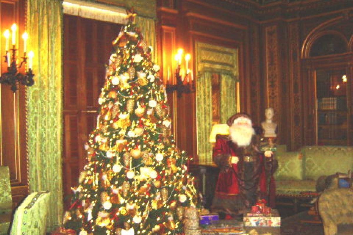 Christmas Tree and Santa Figure