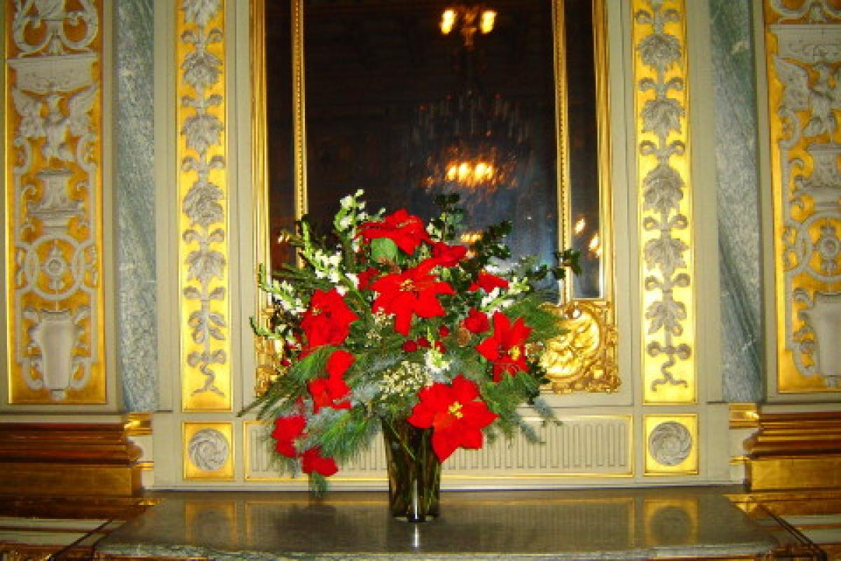 Red Flowers in Vase on Table
