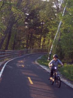 A person biking on a roadway in a wooded area.