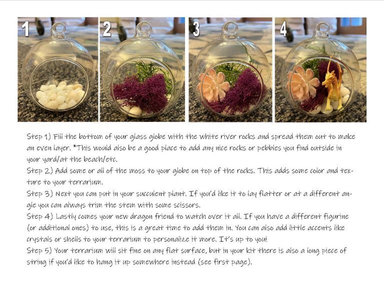 Step-by-step instructions for creating a terrarium, with photos
