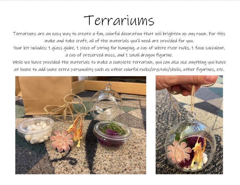 List of materials needed to create a terrarium, plus photos of some examples