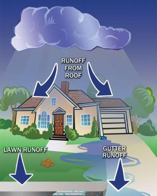 Runoff Illustration