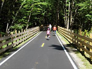 Several people bike on a paved trail bordered by wooden fences in a forested area.