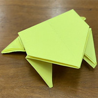 Origami Frog